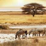 Descubre los países de África y su diversidad cultural