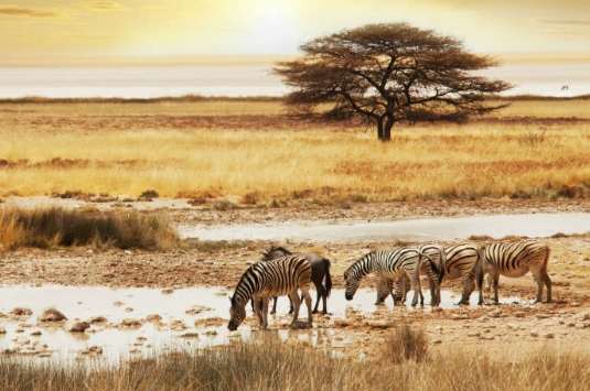 Descubre los países de África y su diversidad cultural