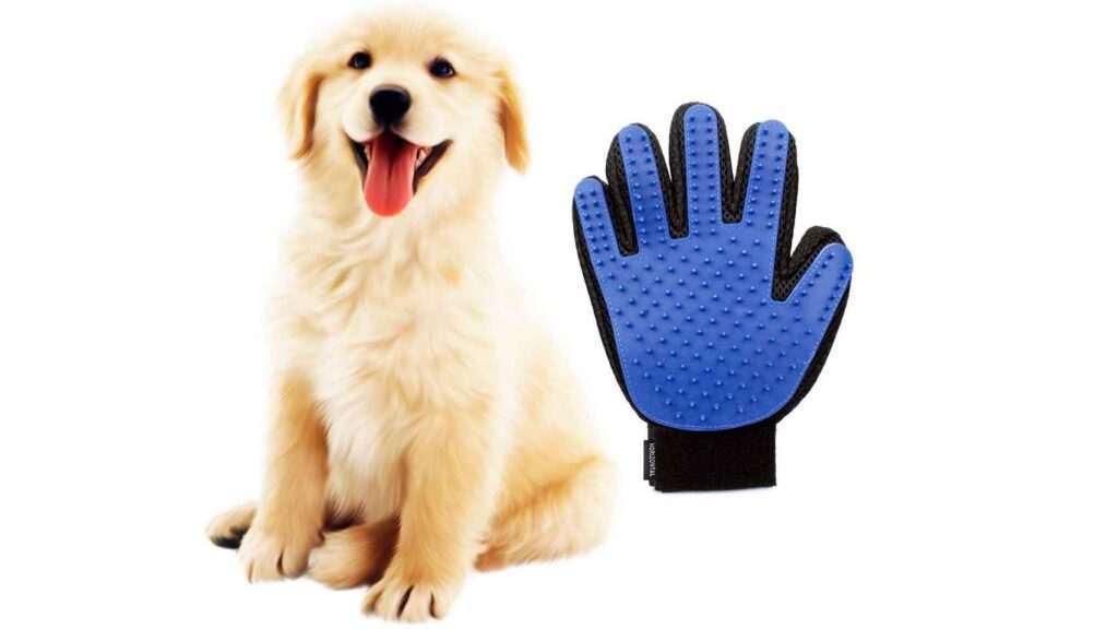 accesorios-para-un-perro-sano-y-feliz