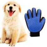Accesorios para un perro sano y feliz