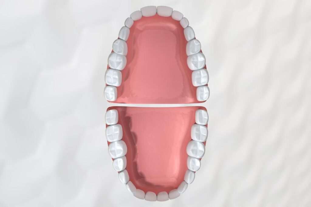 cuantos-dientes-tenemos-y-como-se-dividen