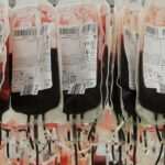 Cuántos litros de sangre tiene el cuerpo