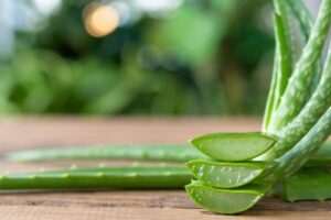 los-beneficios-del-aloe-vera-una-planta-milagrosa