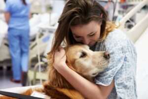 los-beneficios-terapeuticos-de-los-animales-de-compania
