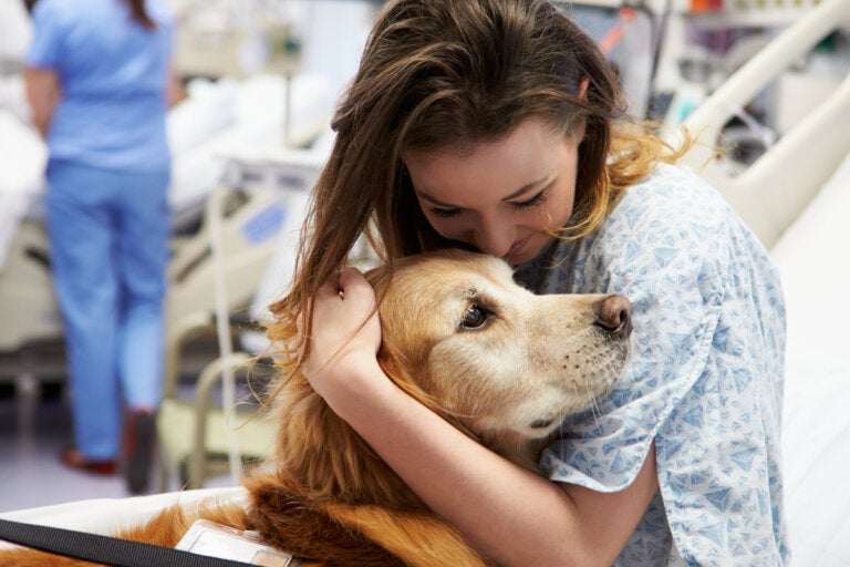 los-beneficios-terapeuticos-de-los-animales-de-compania