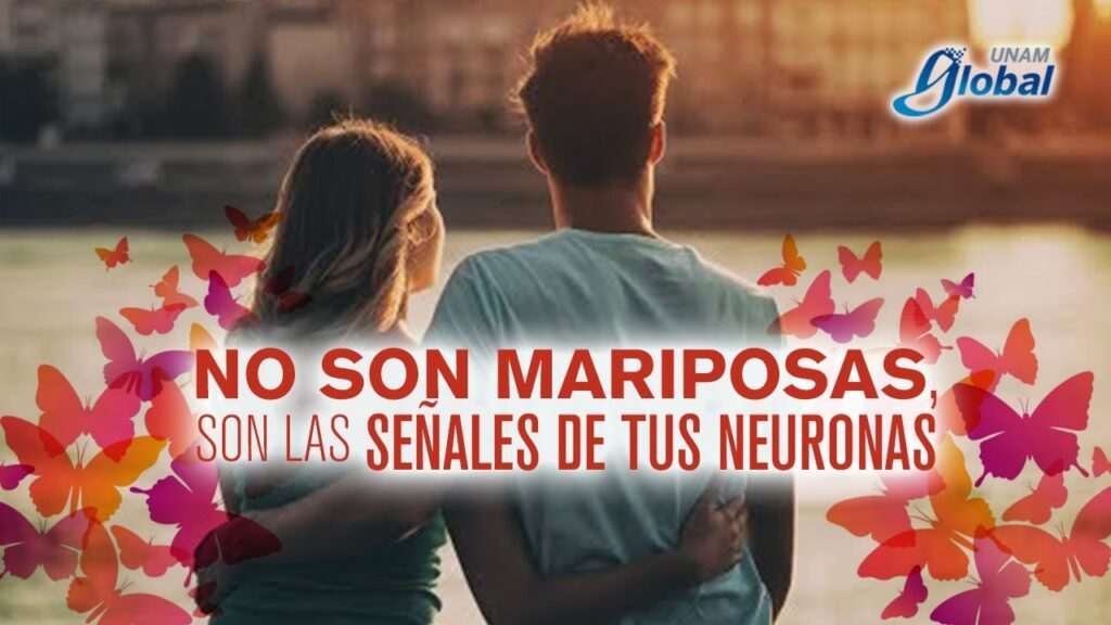 por-que-sentimos-mariposas-en-el-estomago-al-enamorarnos
