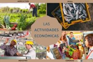 actividades-economicas-primarias-conceptos-fundamentales