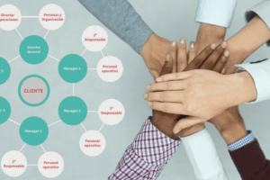 aplicacion-de-sistemas-organizacionales-para-el-logro-de-metas-guia-practica