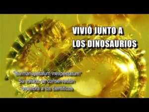 como-se-hace-el-color-amarillo-proceso-y-curiosidades-reveladas