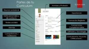 competencias-en-organizacion-y-gestion-claves-para-un-cv-destacado
