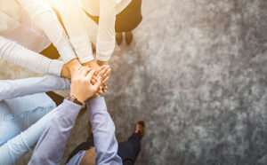 la-etica-en-instituciones-y-organizaciones-introduccion-a-sus-fundamentos