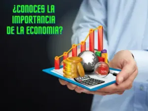 sectores-economicos-su-importancia-y-roles-en-la-economia