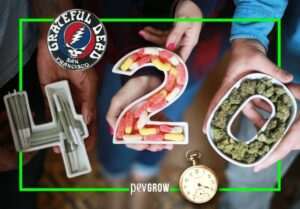 significado-de-420-en-redes-sociales-descubre-su-contexto
