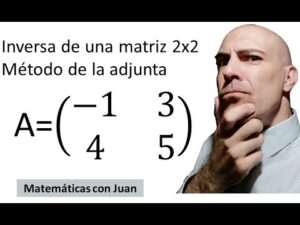 calculo-de-la-matriz-adjunta-una-guia-paso-a-paso