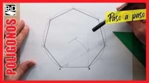 como-dibujar-un-heptagono-ejemplos-y-explicacion