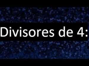 los-divisores-del-4-cuales-son