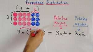 propiedad-distributiva-de-suma-y-multiplicacion-que-es