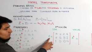 que-es-mxn-en-una-matriz