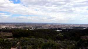 Campo_de_Cartagena