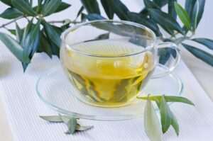 beneficios-de-la-infusion-de-hojas-de-olivo-en-la-perdida-de-peso