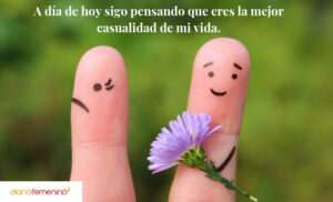 frases-efectivas-para-reconciliarse-tras-una-discusion
