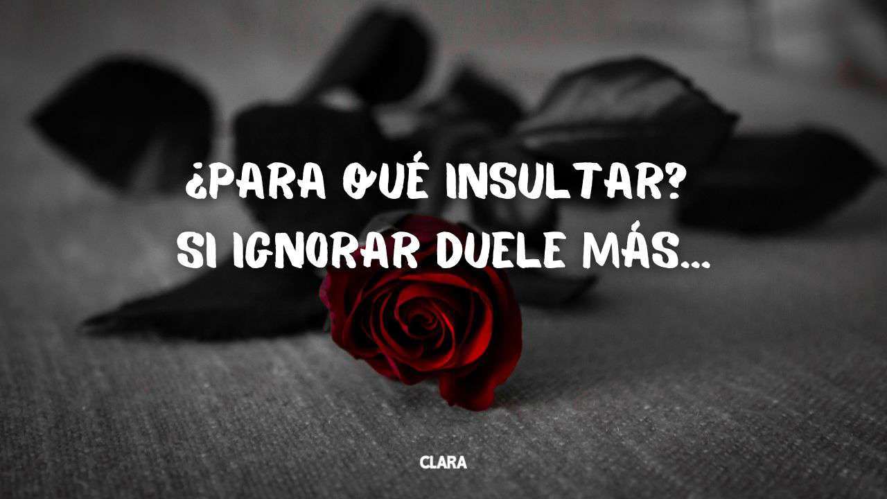 Frases efectivas para responder cuando te ignoran en WhatsApp - Diario