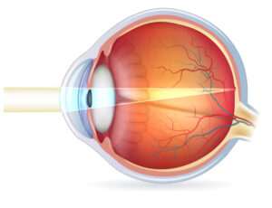 lo-que-vemos-a-diario-con-nuestros-ojos