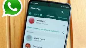 por-que-algunas-personas-suben-tantos-estados-en-whatsapp