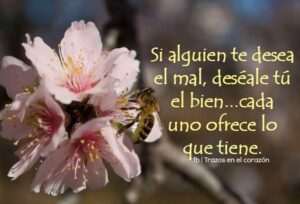 que-sucede-cuando-alguien-te-desea-el-mal