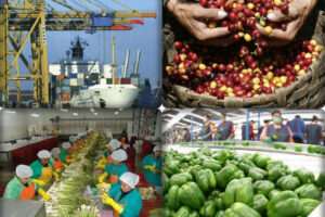 que-es-la-economia-regional